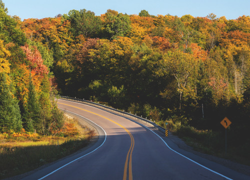 Hwy 35 - Muskoka, Ontario, Canadahttps://www.instagram.com/calebestphotography