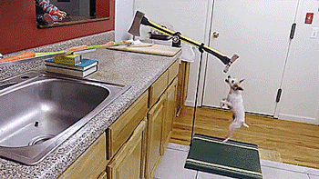 tastefullyoffensive: How to automate Thanksgiving dinner. [full video]