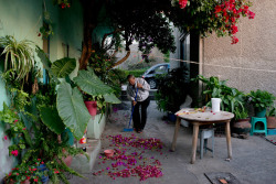 syrianjasmine:    Carolyn Drake MEXICO. Milpa Alta, Mexico City. 2014. Armando Laurrabaquio Olvera sweeps the courtyard of bougainvillea petals at the home where he lives with extended family.   