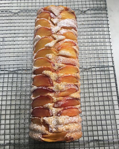 peach polenta cake #peachpolentacake #peachcake #polentacake #summercakehttps://www.instagram.com/p/