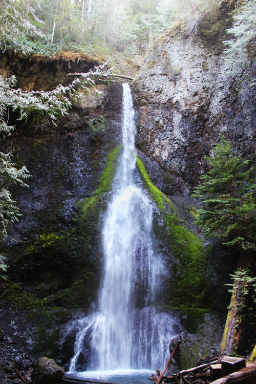 bright-witch: Persephone’s Sanctuary ◈ Pacific Northwest photography by Michelle N.W. ◈ ◈ Prin