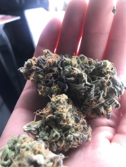 sparkingbuds:  Can’t get over how pretty