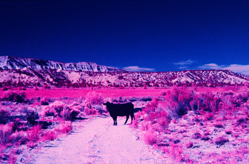 The Great American Southwest in Infrared (October 2013) Kodak EIR