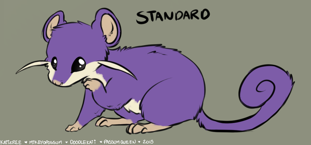 doodlekaii:  Rattata Variations! I hope they havent been done yet…I may expand