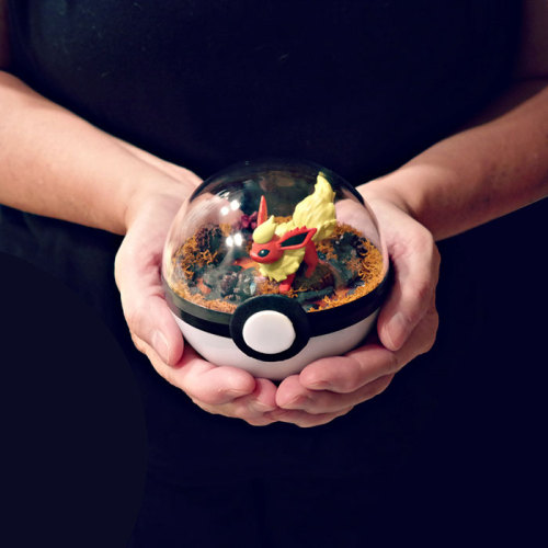 culturenlifestyle: Ingenious Pokéball Terrariums  Texas based artist Lauren from The Vintage Realm takes pride in being a 90s kid. Inspired by vintage Pokémon, which was one of her childhood passions, she created a collection of Poke terrarium. Plucking