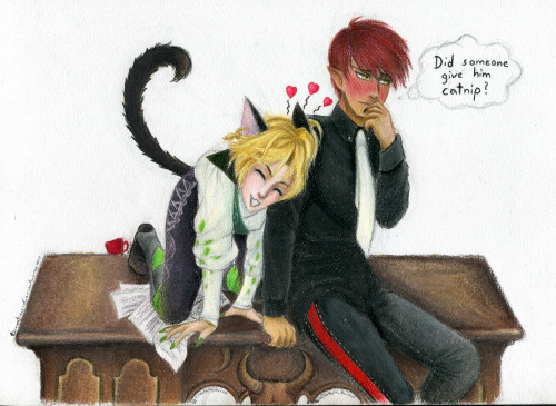 Apparently Diavolo is weak to meows so here. With Catan.If blurry, tap/click on the picture.I’ve bee