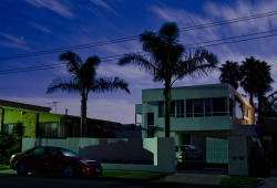 House with Palms, Altona | Bill Lane