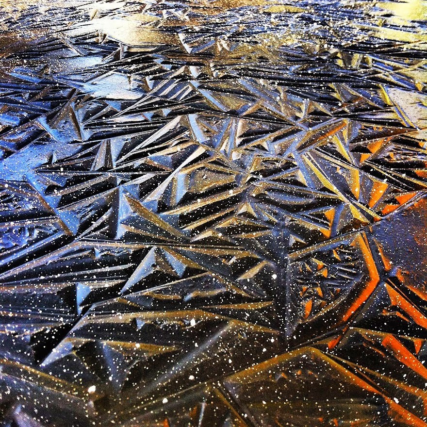 sixpenceee:Geometric Pond Ice in South Oregon. This occurs because of undisturbed