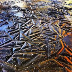 sixpenceee:Geometric Pond Ice in South Oregon.