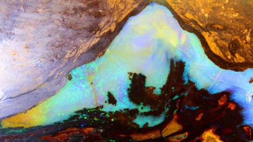 bijoux-et-mineraux:Opalized Wood - Australia