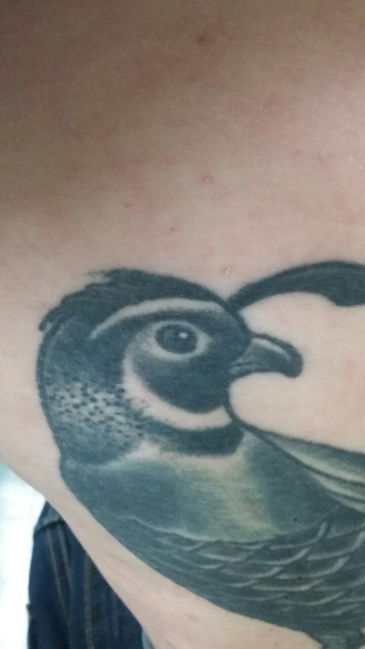 Tattoo Critique Here Is My First Tattoo The First Photo Is When Tattoo Critique Here Is My First Tattoo The First Photo Is When