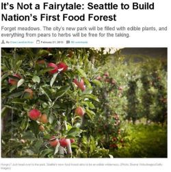 living-earth-traveling-mind:Seattle’s vision of an urban food oasis is going forward. A seven-acre plot of land in the city’s Beacon Hill neighborhood will be planted with hundreds of different kinds of edibles: walnut and chestnut trees; blueberry