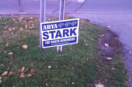 proudblackconservative: pr1nceshawn: Funny Voting Signs Express What People Really Think About These