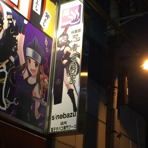 pochone:  忍者VAPORS（秋葉原）