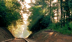 walkingdeadamc:  It’s almost here.