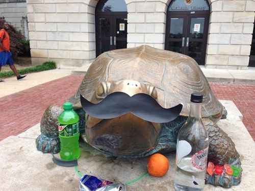 batchthecumber:  So my school has this thing where we give offerings to our mascot, Testudo, during finals week because legend has it that he’s pretty lucky.  And it’s this pretty cool tradition. But now, well, I think it may be getting a little out