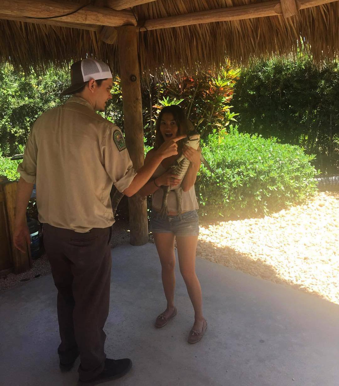 Checked out the Everglades yesterday 🐊 this was a feisty lil creature by charmanestar