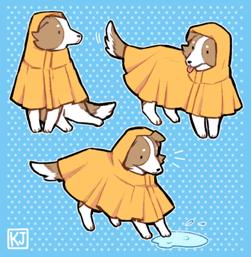 some doodles I did of my OC’s good dog child in one of those adorable dog raincoats… 