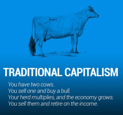 boredpanda:    Two Cows Explain Economics