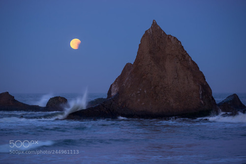 itslandscapess:Full Moon at Martins adult photos
