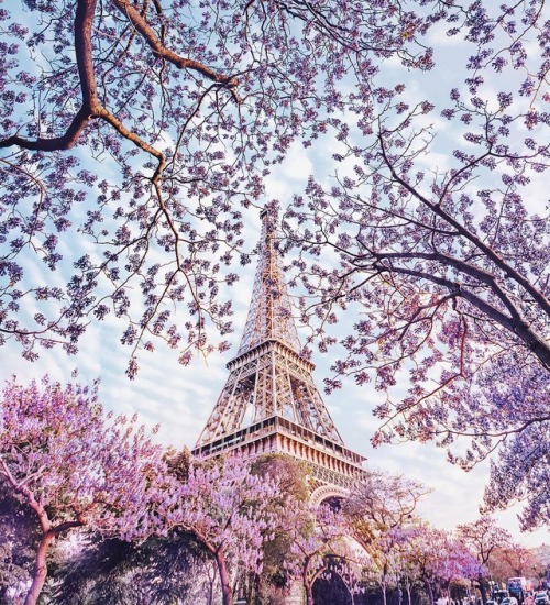 andantegrazioso:  Spring in Paris and Moscow |  hobopeeba  