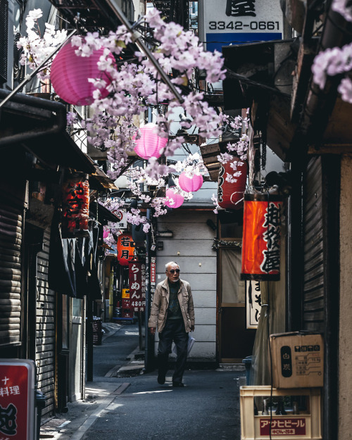 Street scene, Tokyoinstagram : @446iWebsite : https://www.446i-jp.com/