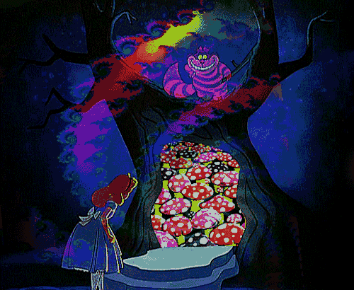 where is my mind?﻿