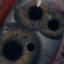 queerbodyhorror