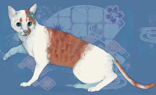 I Dont Even Know If Tumblr Is A Good Site For This But I'm Out Of Options! So: