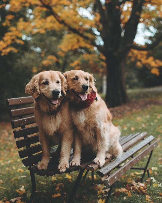 A story of love and adventures.