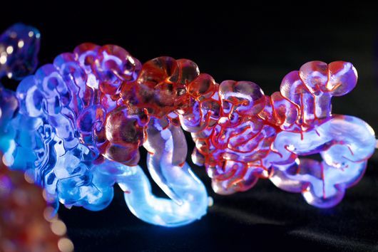 techfutures:  World’s first photosynthetic living matter-infused 3D-printed wearableSpeaking