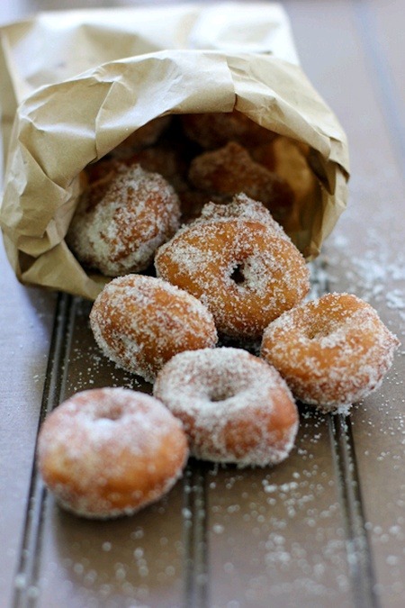 tumblr photo ramblingsofacuriousfangirl 0