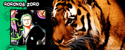 kemeyeo:  Random Edit: One Piece [24/?]  Characters + Animal Representatives Just my opinions, it’s fine if you disagree but please dont be rude about it :(  