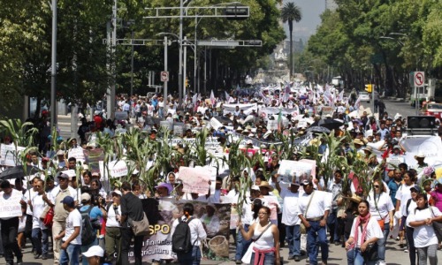 thinkmexican:  Mexico’s Campesinos March adult photos