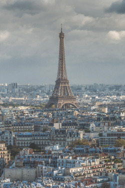 visualechoess:  Paris - by: Ali Alriffai