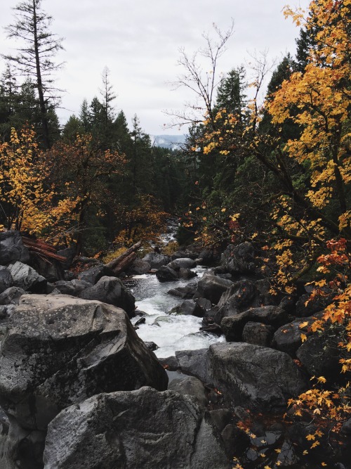 iwokeupthisway:  Prospect, Oregon. 