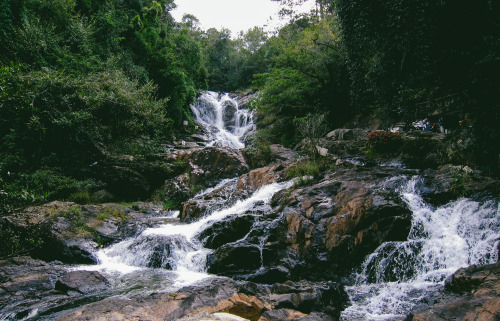 Datania - Da Lat, Vietnam