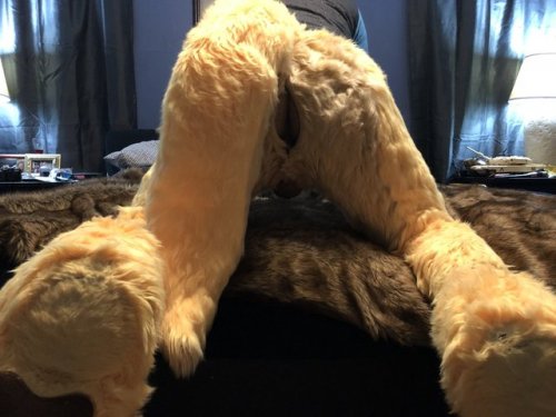 another-gay-yiff-blog-adult:  And here we have Daxter Dingo/ LittlepuppyAD showing off! 😍😍Be sure to check out his Xtube & TwitterTwitter - https://twitter.com/LittlePuppyADXtube - https://www.xtube.com/profile/daxterdingo-23489062