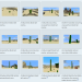 interdimensionalspaceworm:going insane looking at the wiki page for cacti. when does