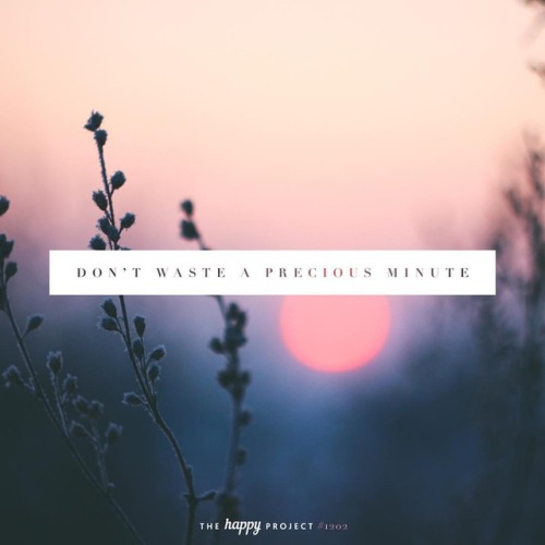 thehappyprojectblog:  Enjoy today. (at Los Angeles, California)https://www.instagram.com/p/Btbr1xIFGHo/?utm_source=ig_tumblr_share&igshid=1pj2uv982e97g