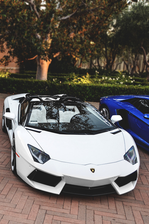 - Exotic Style -