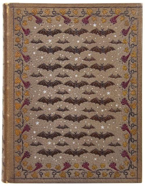 Book Cover - Robert Montesquiou-Fzensac. 'Les Chauves-souris, Clairs-obscurs.' 