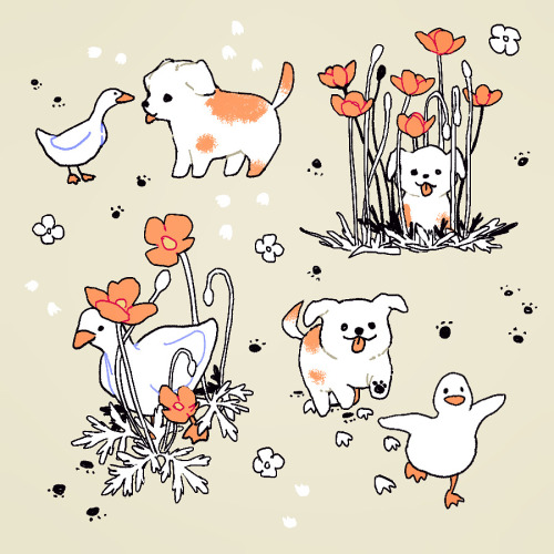 yookikiku:dog & duck