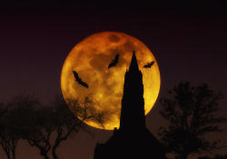 halloweenpictures:  Spooky Night 
