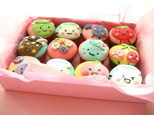 puccho cupcakes boxed