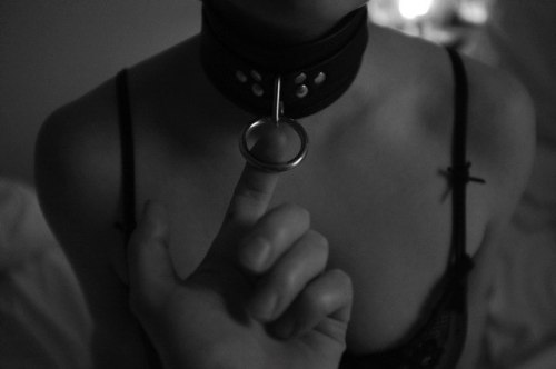 invisiblepup:  angel-fallen-not-broken:  ~ Leash Me ~  Please leash me!! 