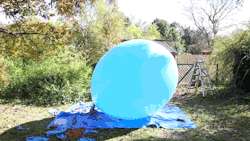 sizvideos:  A man inside a 6ft air balloon