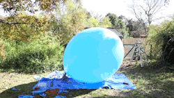 sizvideos:  A man inside a 6ft air balloon (full video) 