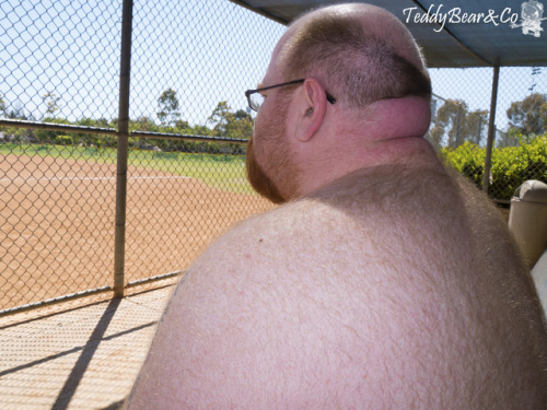 revengeofthebears: to say this is a ginger fantasy is like drinking that chocolate syrup right from 