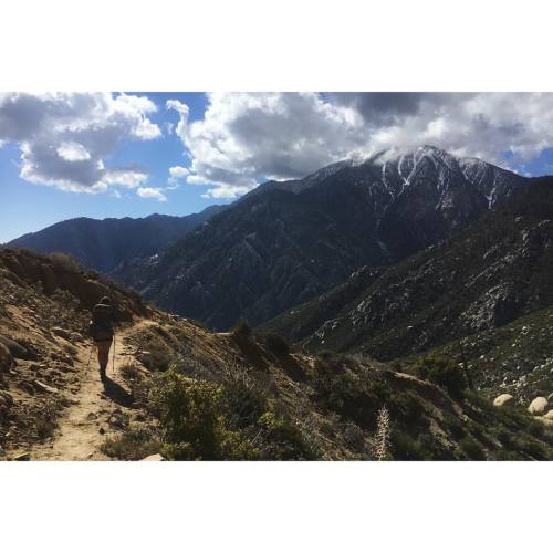 DAY 11: Today was probably one of the toughest yet. 20 miles of steep downhill in the desert heat. B